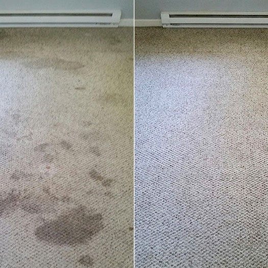 Carpet Cleaning services